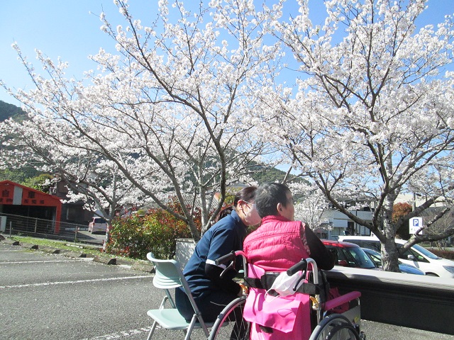 令和5年3月28日　「桜の木の下で🌸」：