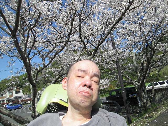 令和5年3月28日　「桜の木の下で🌸」：